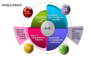 網(wǎng)絡(luò)營(yíng)銷方案指南 互聯(lián)網(wǎng)信息服務(wù)的道與術(shù)